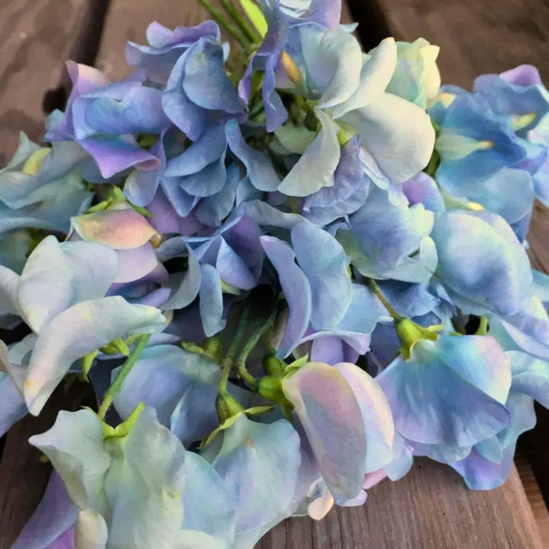 May include: A bouquet of blue and purple sweet pea flowers. The flowers have delicate, ruffled petals in shades of light blue, lavender, and hints of pink. The arrangement is fresh and vibrant, with green stems.