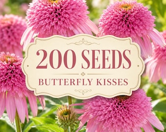 Butterfly Kisses Echinacea Seeds – Soft Pink Double Coneflower, Hardy Perennial Flower Seeds