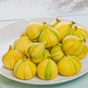 May include: A white plate filled with ripe figs. The figs are yellow with green stripes, and have a small stem. The figs are arranged in a circular pattern, and are ready to eat.