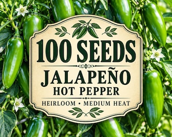 Jalapeno Hot Pepper 100 Seeds | Heirloom Medium Heat Chili Peppers for Garden Planting