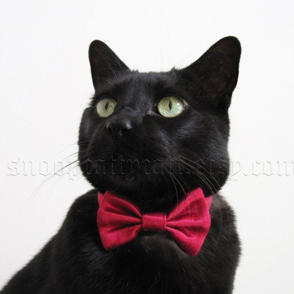 Cat Bow Tie - Satin - More Colors