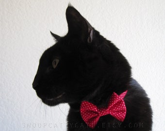 Cat Bow Tie and/or Collar Set - Candy Apple Red