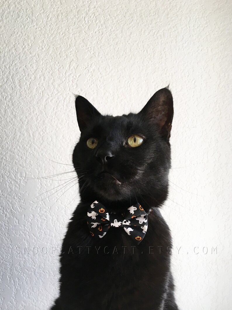 Cat Bow Tie and/or Collar Set  Fright Night  Halloween Cat image 5