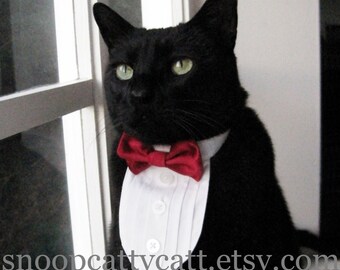Cat Tuxedo - Choose Your Own Bow Tie (Solid Satins)