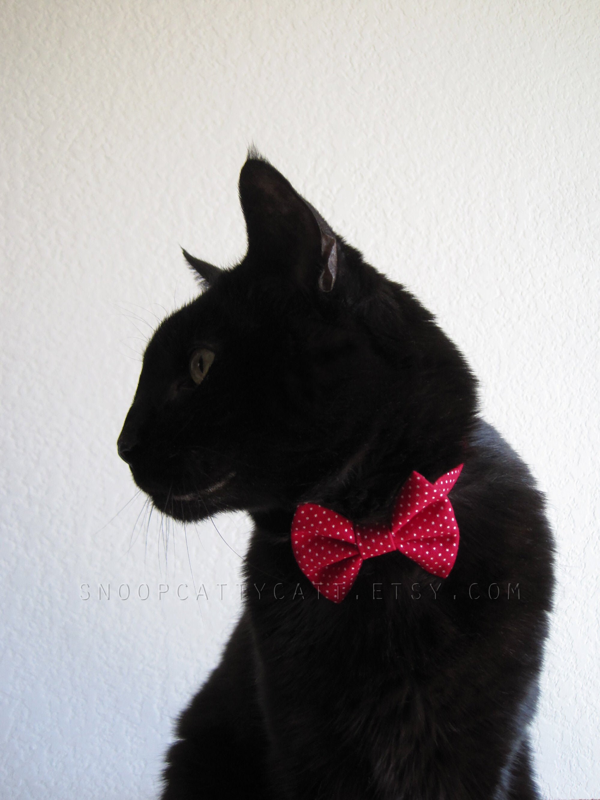 red bow cat collar