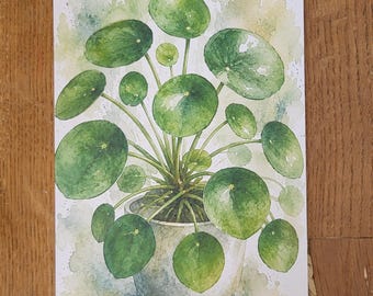 Houseplant Postcard A6 • Botanical Watercolor Plants • Monstera, Pilea, Fiddle-leaf Fig, Spathiphyllum • Plant Lover Gift • Greeting Cards