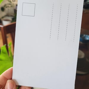 Rückseite 300g Papier