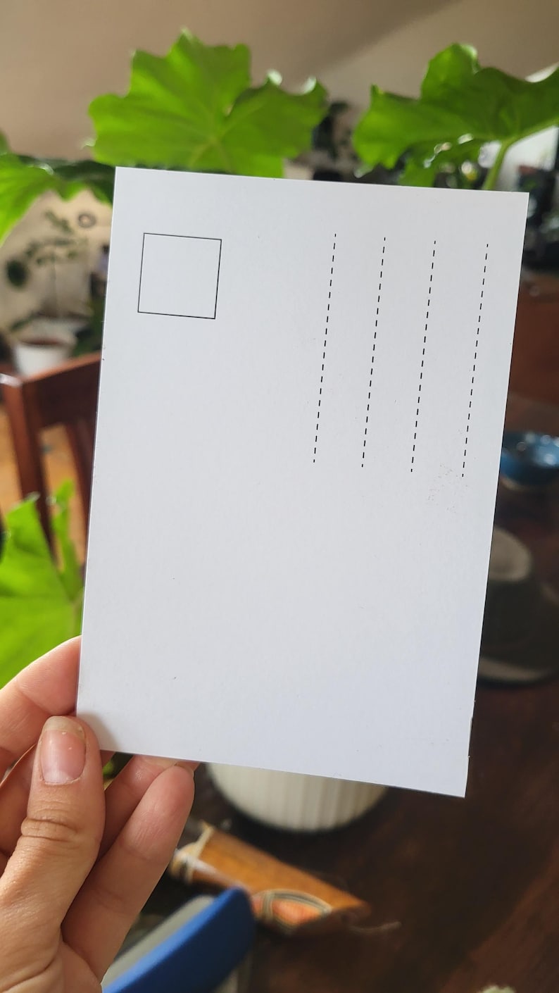 Rückseite 300g Papier