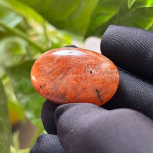 May include: Oval-shaped, polished sunstone gemstone with a vibrant orange hue, featuring natural inclusions and a glossy finish. The stone is held against a black fabric background, with green foliage in the background.