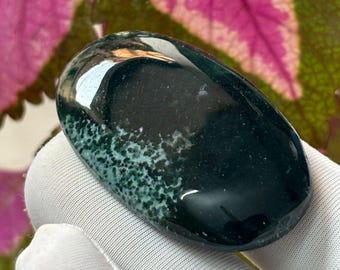 Può includere: Una gemma lucida di forma ovale, con una base verde scuro e motivi maculati verde chiaro. La pietra riflette la luce, mostrando la sua superficie liscia. Lo sfondo presenta foglie rosa e verdi sfocate.