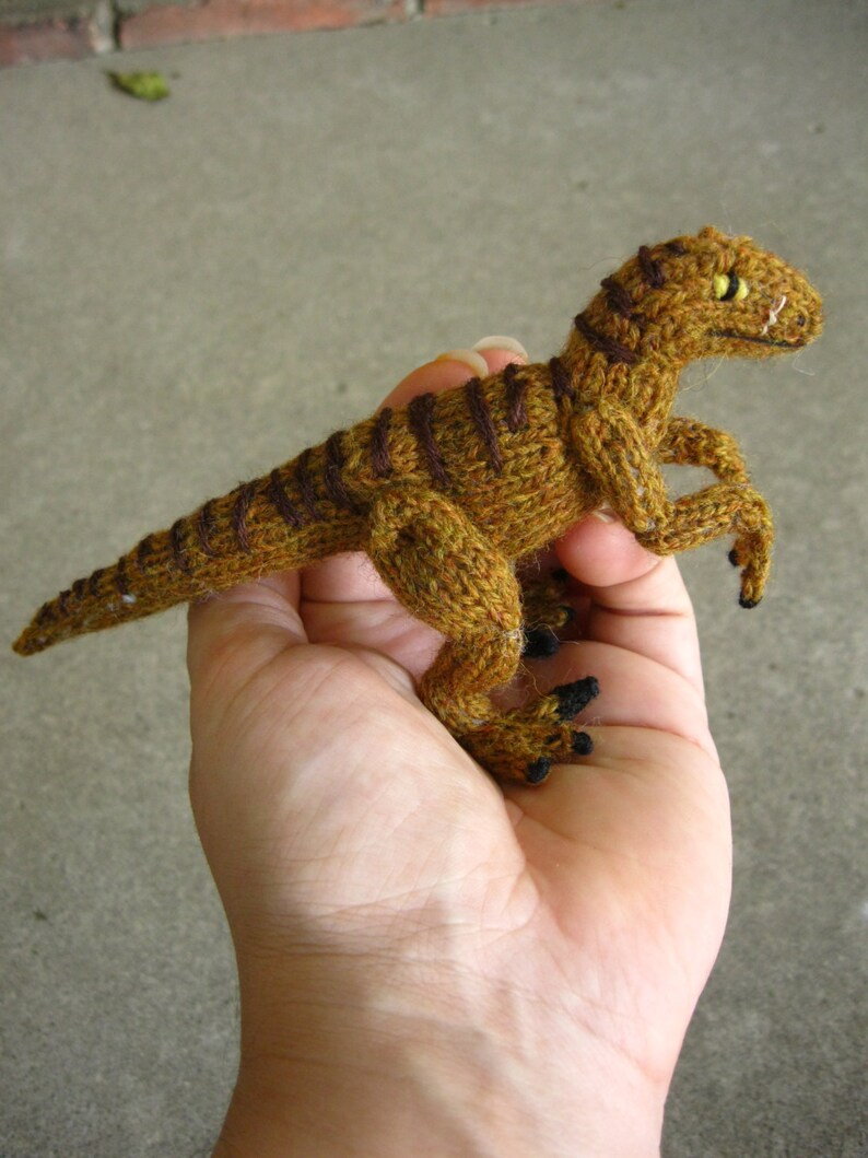 echo the velociraptor
