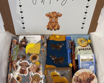 Highland Cow Blind Date Book Box, Mystery Book Hamper, Reading Lover Gift