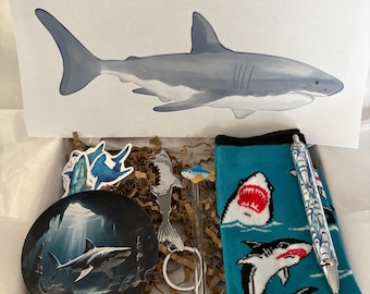 Shark Lover Gift Box, Novelty Themed Hamper