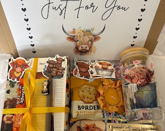 Highland Cow Blind Date Book Box, Cozy Reading Gift, Mystery Book, Tumbler, Pen, Coaster