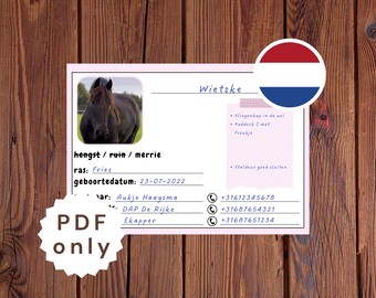 Placa de identificación para caballos en el establo, placa para la puerta del establo con información, tarjeta con el nombre de la competición, identificación del caballo imprimible, información de la competición, tarjeta con el nombre imprimible