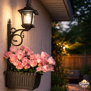 May include: A black outdoor wall-mounted lantern with a clear glass panel, illuminating a planter box filled with pink roses. The lantern is mounted on a decorative black bracket. The planter box is black and rectangular.