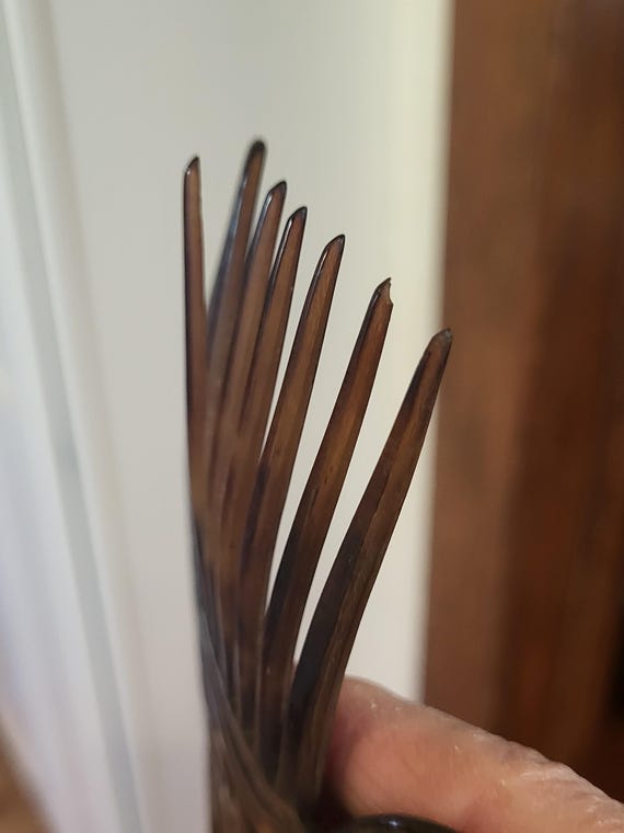 Victorian Tortoise Shell Celluloid Large Hair Comb - image 3