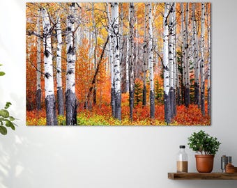 Impresión en lienzo de un bosque de álamos otoñales: arte mural con follaje otoñal de abedul