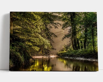 Forest River Canvas Print: Green Wall Art, Nature Decor