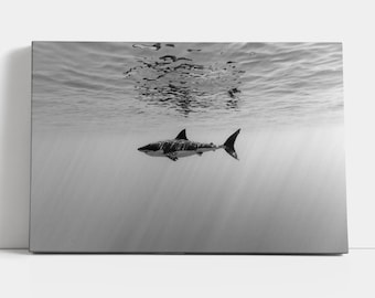 Whale Shark Wall Art Black and White Canvas Print Beach house decor Nautical Artwork
