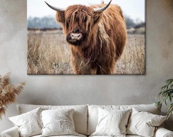 Cuadro de vaca de las Tierras Altas: Impresión de vaca de pelo largo en primer plano, decoración de pared estilo granja.