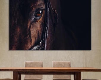 Black Horse Gaze: Close-up Portrait, Farmhouse Canvas Wall Art