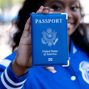 Blue and White Passport Cover