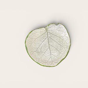Puede incluir: Un pequeño plato redondo con forma de hoja que presenta un interior blanco con un patrón detallado de venas plateadas en relieve que recuerda al esqueleto de una hoja natural. El borde exterior tiene un acabado verde brillante.