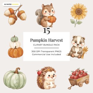 Akvarell pumpa Clipart, 15 höstskörden PNG för höstpyssel, ekorre igelkott äppelkorgvagn solros, kommersiellt bruk