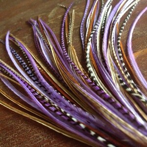 May include: A bunch of purple, brown, and white feathers. The feathers are long and thin, and they are arranged in a fan shape.