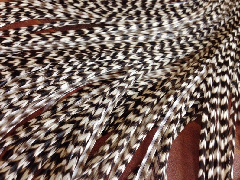Grizzly Feather Extensions 6 Long Black and White Zig Zag Etsy