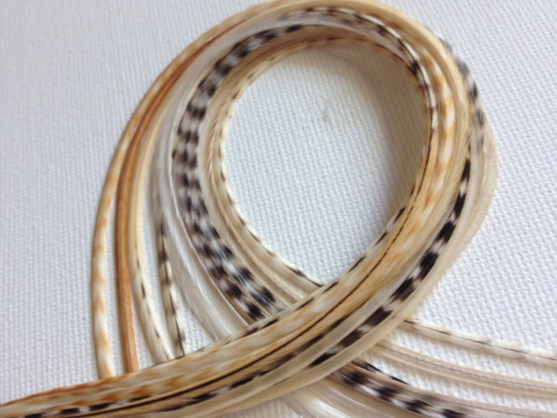 Blonde Cream Hair Feathers Extensions Gypsy Ginger Barred Etsy