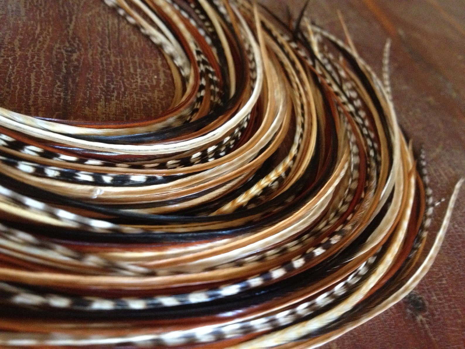 Feather Hair Extensions Natural Brown Glory Grizzly Feather Etsy