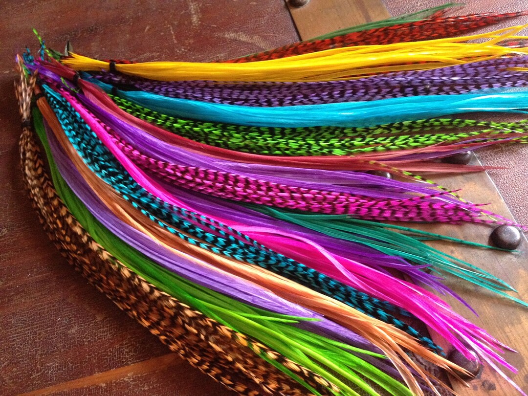 ALL DYED Feather Extensions Grizzly, Bright, Colorful Discount Long