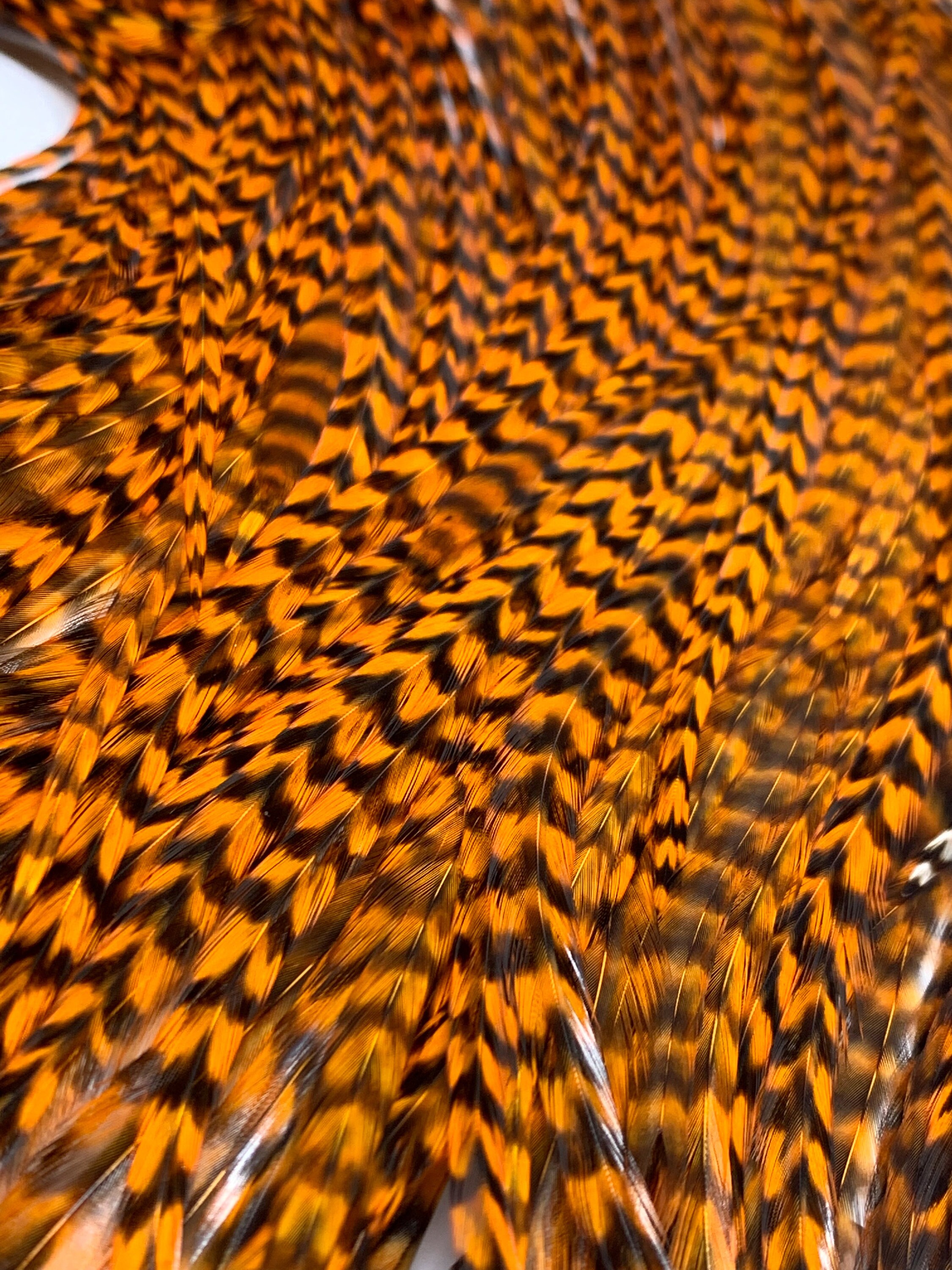 Halloween Grizzly Feather Extensions 6pcs Long Zig Zag Striped Etsy