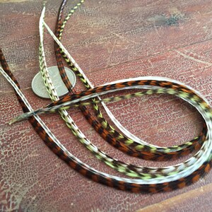 Feather Hair Extensions 12&quot; Long Olive, Brown Grizzly, Bonded Hair Feathers for Feather Extensions Haar Varen