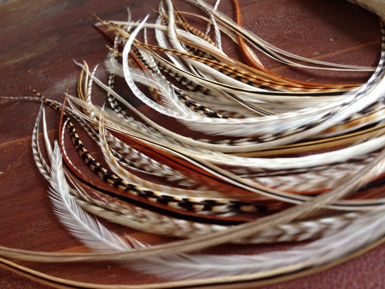 14 Natural Feather Hair Extension XXL Creamy Dreamy 1 Etsy