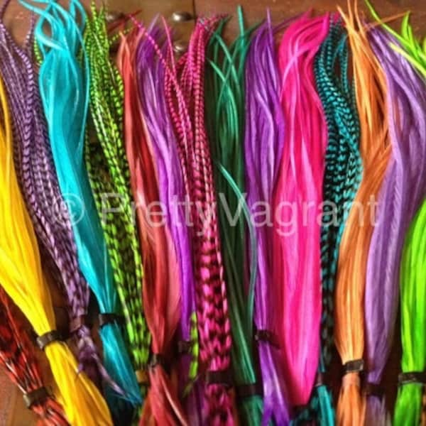 Feather Hair Extensions You Pick 6 Colorful and Grizzly XL long Rainbow Feathers Best Selection on Etsy Loose or Bonded Bundle