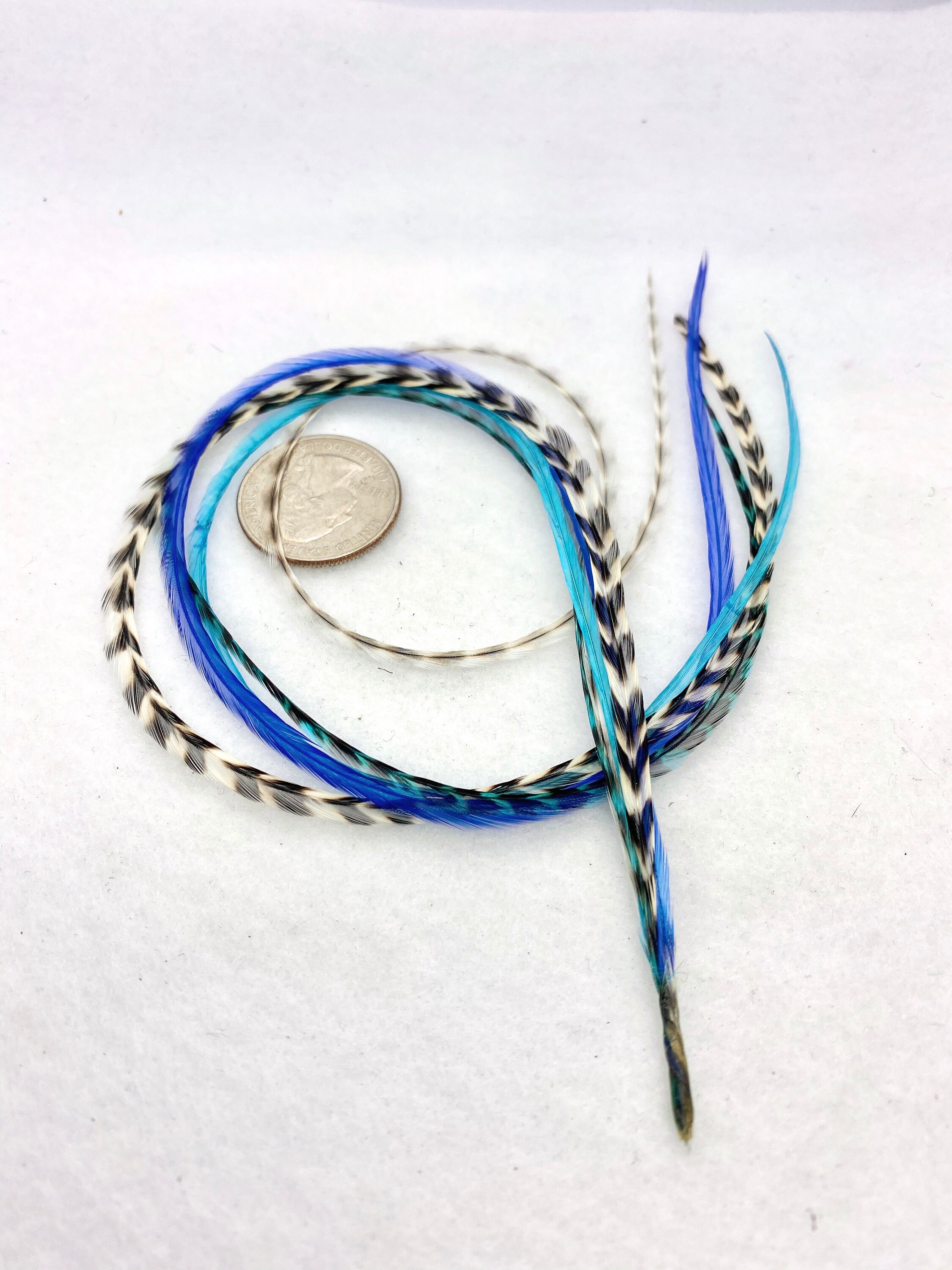 Blue Feather Hair Extension Blue Turquoise Grizzly Hair Etsy