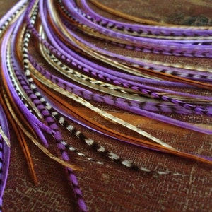 May include: A set of purple, brown, and white feathers. The feathers are long and thin, and they are arranged in a row. They are perfect for adding a touch of color and texture to any craft project.