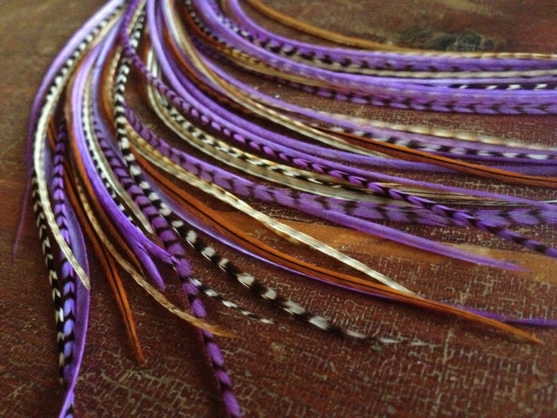 May include: A set of purple, brown, and white feathers. The feathers are long and thin, and they are arranged in a row. They are perfect for adding a touch of color and texture to any craft project.