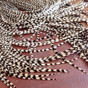 Grizzly Feather Extensions 6 Loose Long Black And White Zig Zag Striped Grizzlies, Real Hair Feathers for Hair