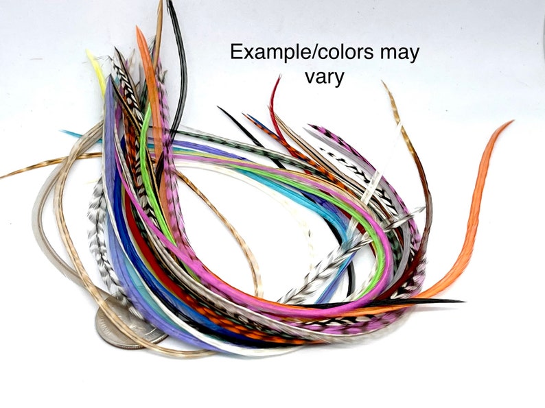Wholesale Feather Hair Extensions Bulk Pack 25 Salon Plumes Etsy