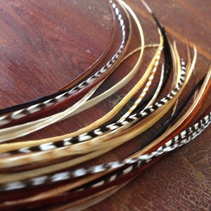 Puede incluir: Una colección de plumas largas y delgadas en varios tonos de marrón, blanco y negro. Las plumas tienen un aspecto natural y rústico y son perfectas para manualidades o decoración.