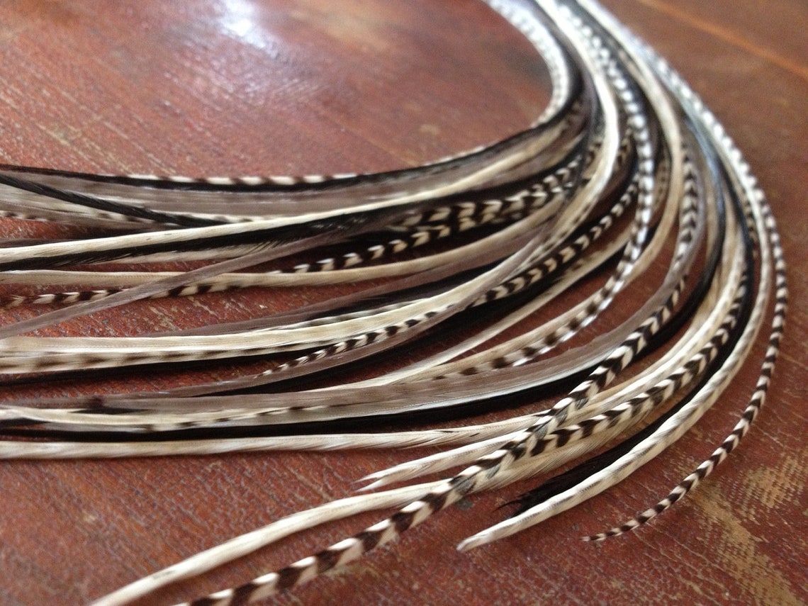 Real Feather Hair Extensions Stepping Stones Long Grizzly Etsy Sweden