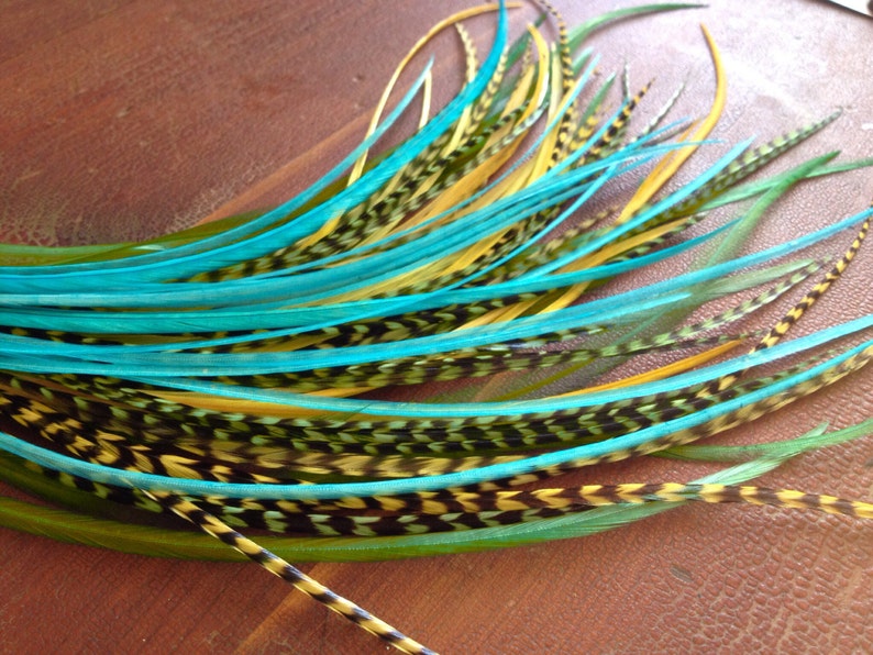 May include: A bunch of long, colorful feathers with green, yellow, and blue tips. The feathers have black stripes and are arranged in a fan shape.