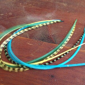May include: A set of blue, green, and yellow feather hair extensions. The feathers are arranged in a circle and are tied together at the base.