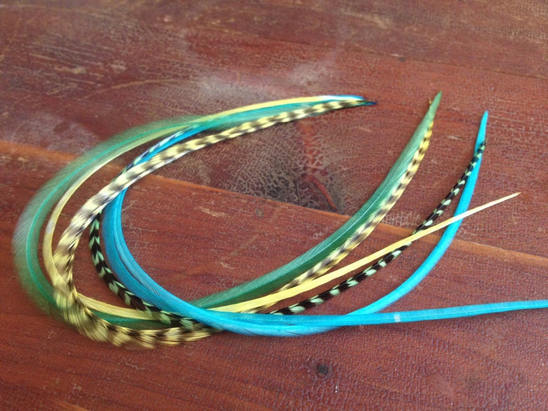 May include: A set of blue, green, and yellow feather hair extensions. The feathers are arranged in a circle and are tied together at the base.