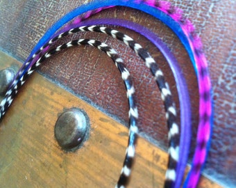Berry Feather Hair Extensions Blue, Purple, Pink Grizzly, 5 Long Hair Feathers - Grizzly Feather Extensions