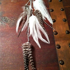 May include: A long, dangling earring with a silver chain and multiple feathers. The feathers are white and black with a striped pattern.